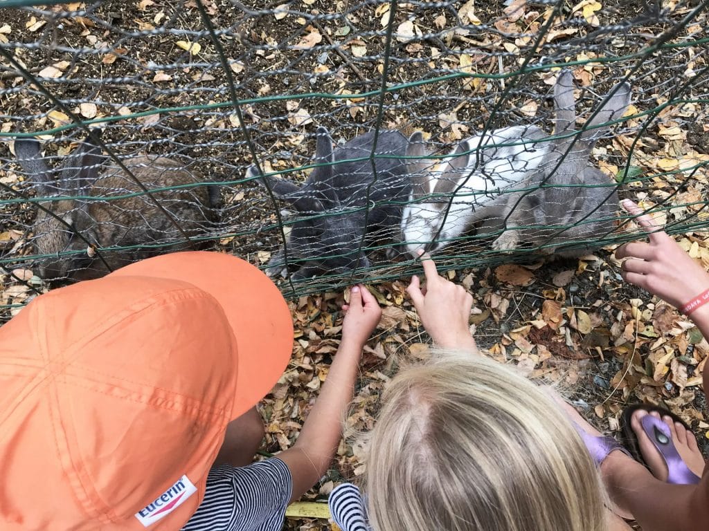 Camping 5 étoiles le Mans Sarthe : activités avec le Kids Club, créatives, sportives et ludiques, La ferme de Chanteloup