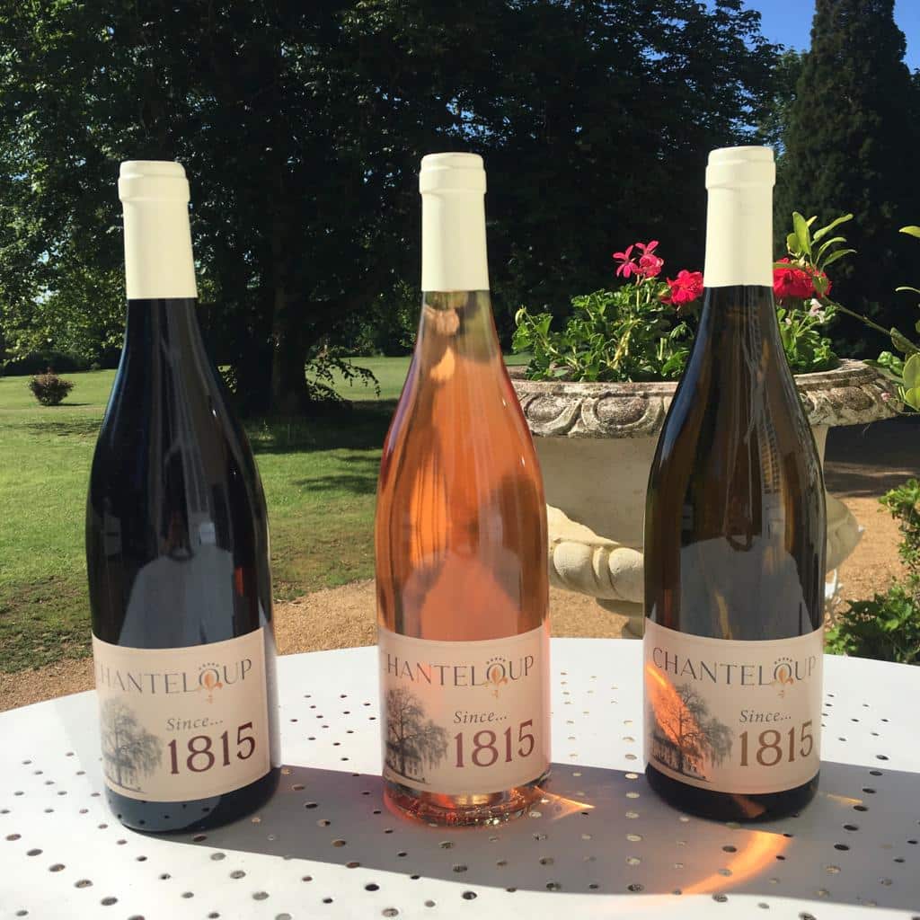 Le vin de Chanteloup, rouge, blanc et rosé