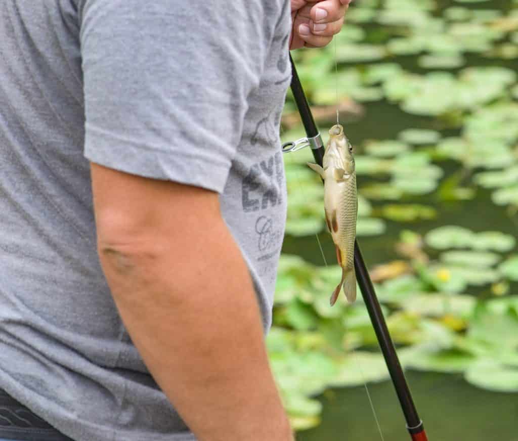 Camping Chateau De Chanteloup: family fishing