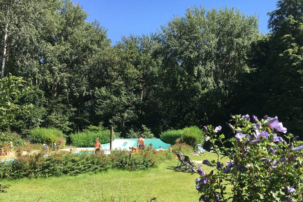 Camping Piscine Sarthe - Camping Château de Chanteloup : vue de loin derrière les fleurs