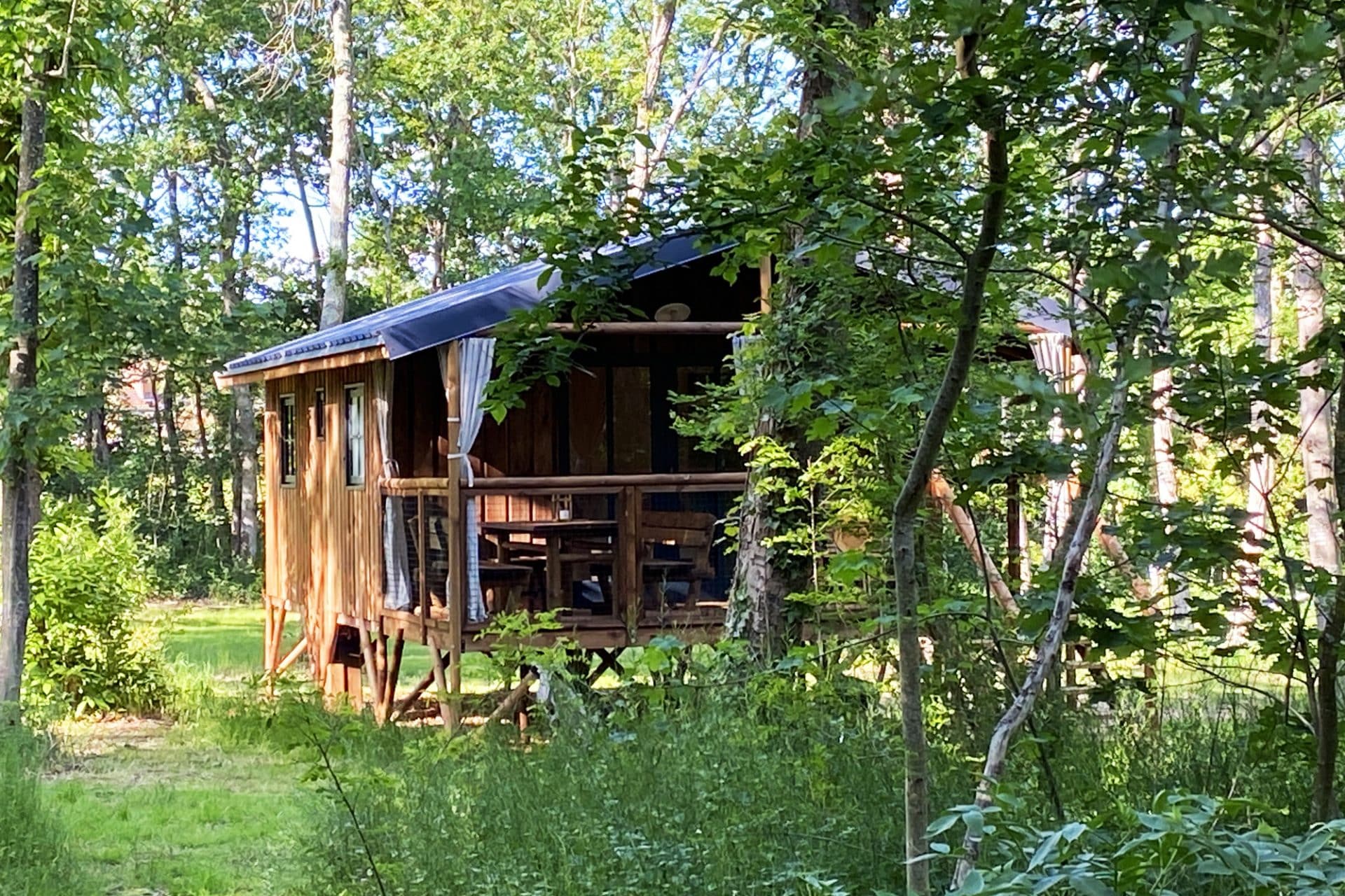 Camping 5 étoiles Château de Chanteloup : cabane sous les arbres vue de face