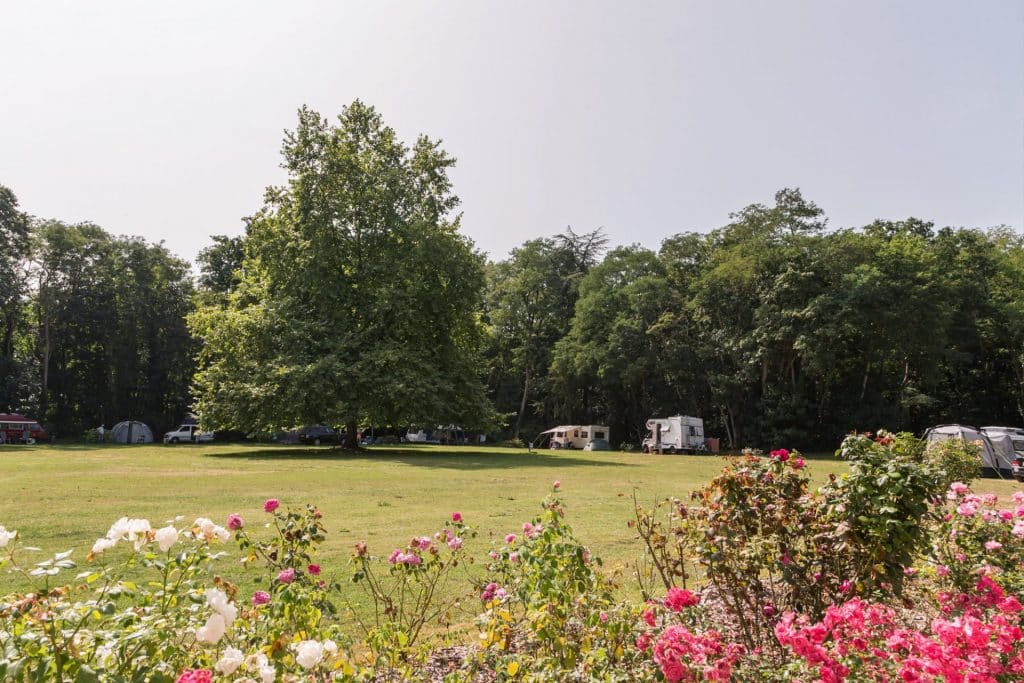 Camping 5 étoiles Château de Chanteloup : Emplacements sur la grande zone Cynthia