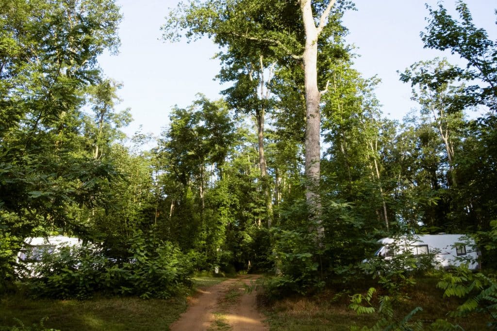 Camping 5 étoiles Château de Chanteloup : dans la zone Wood