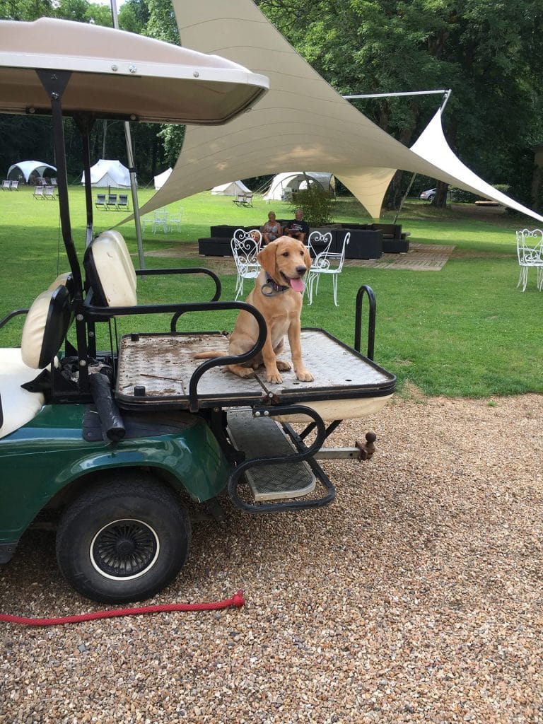 Camping 5 étoiles du Chateau De Chanteloup : En vacances avec son chien