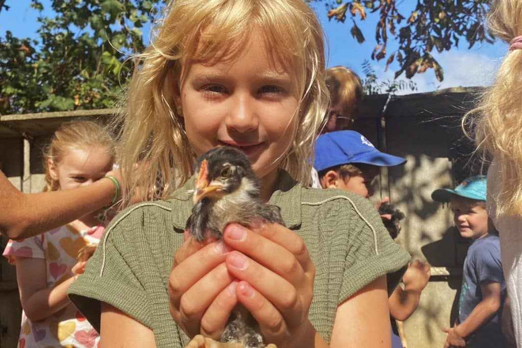 Camping 5 étoiles Château de Chanteloup : petite fille avec un poussin, à la ferme