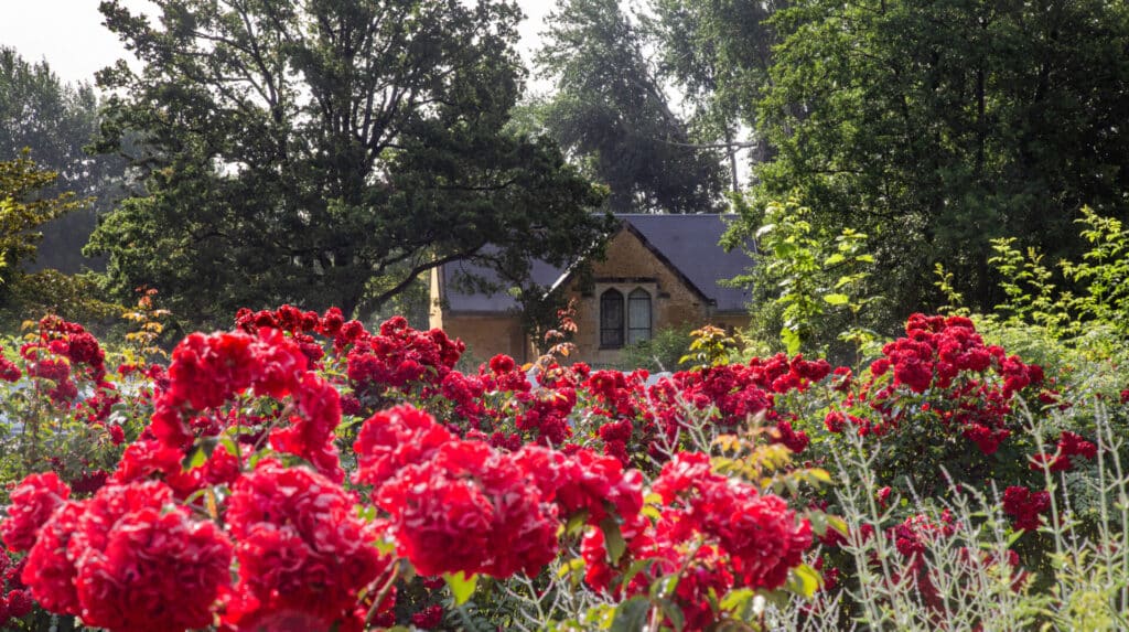 Camping Chateau De Chanteloup : Hebergement Chateau De Chanteloup Orangerie