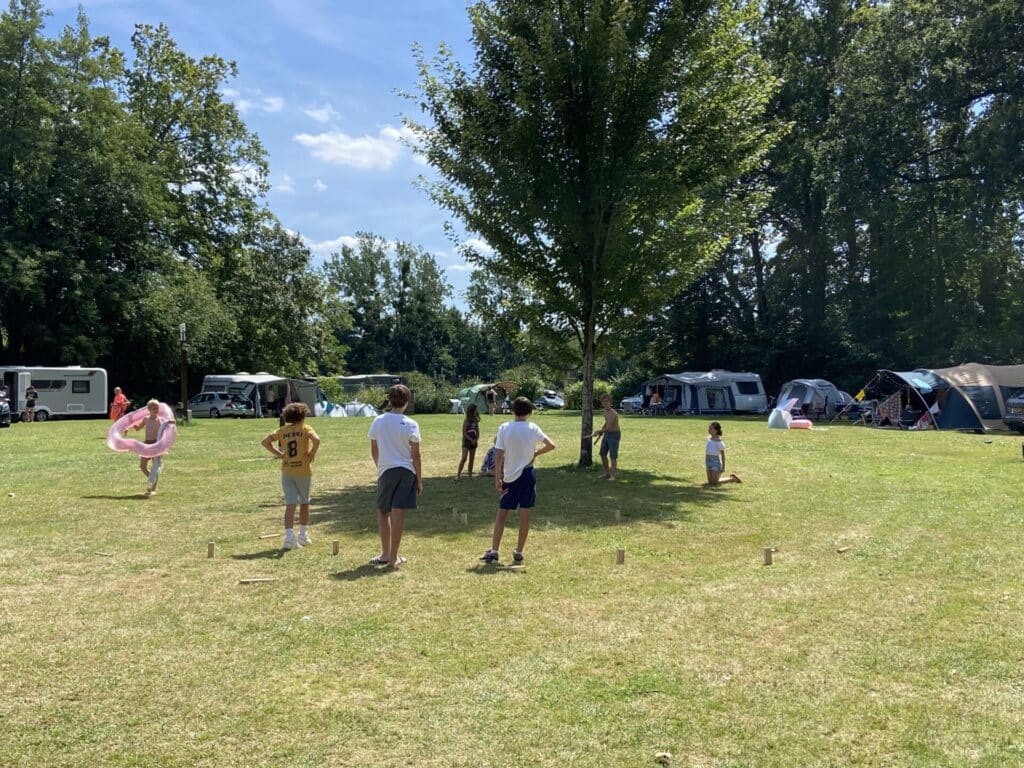 Camping Chateau De Chanteloup : 0021 Img 6785